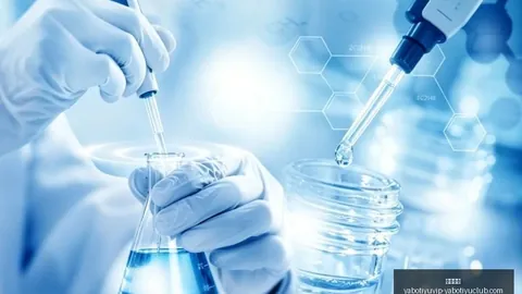帕纳辛奈克斯里昂：欧洲赛场荣耀对决，2026赛季前瞻解析